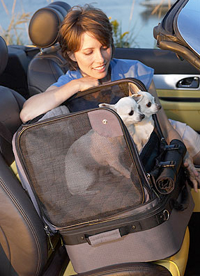 Auto Cruiser Pet Car Seat
