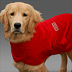 Storm Defender Dog Coat