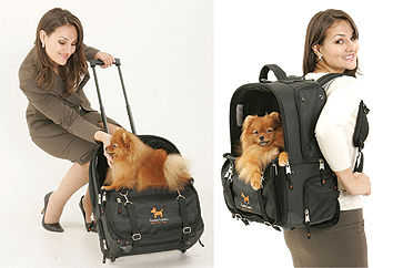 Pet Pilot Pet Stroller and Back Pack