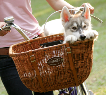 Wicker Pet Bike Basket