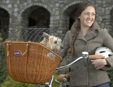Wicker Pet Bike Basket with Safety Bars
